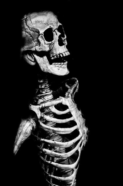 spine-640x480-85401462.jpeg