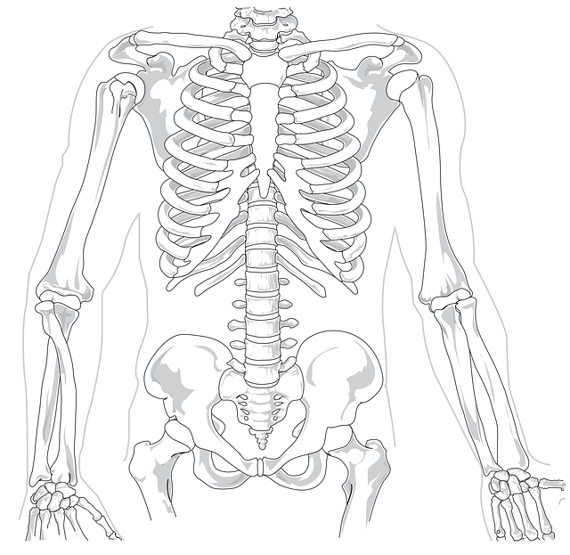 spine-640x480-90460975.png