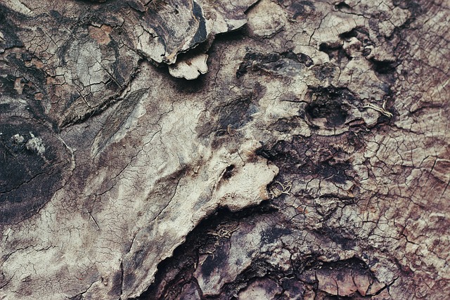 sustainable-packing-materials-640x480-16006803.jpeg