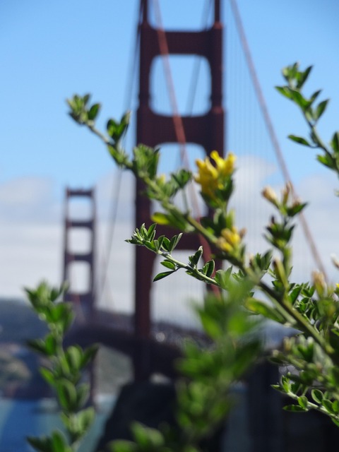 affordable-local-movers-san-francisco-640x480-36124196.jpeg