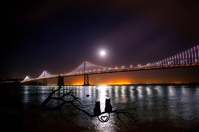 affordable-residential-movers-san-franci-640x480-8364239.jpeg