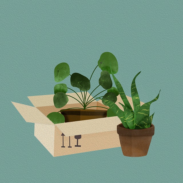 moving-640x480-75072283.jpeg