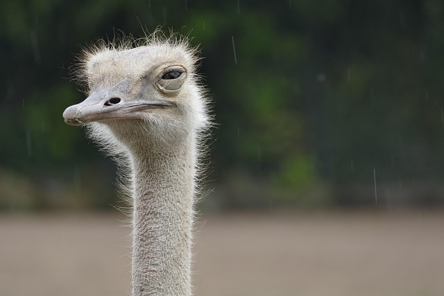 neck-pain-640x480-57726136.jpeg