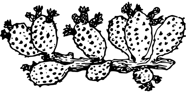 spine-640x480-7658971.png