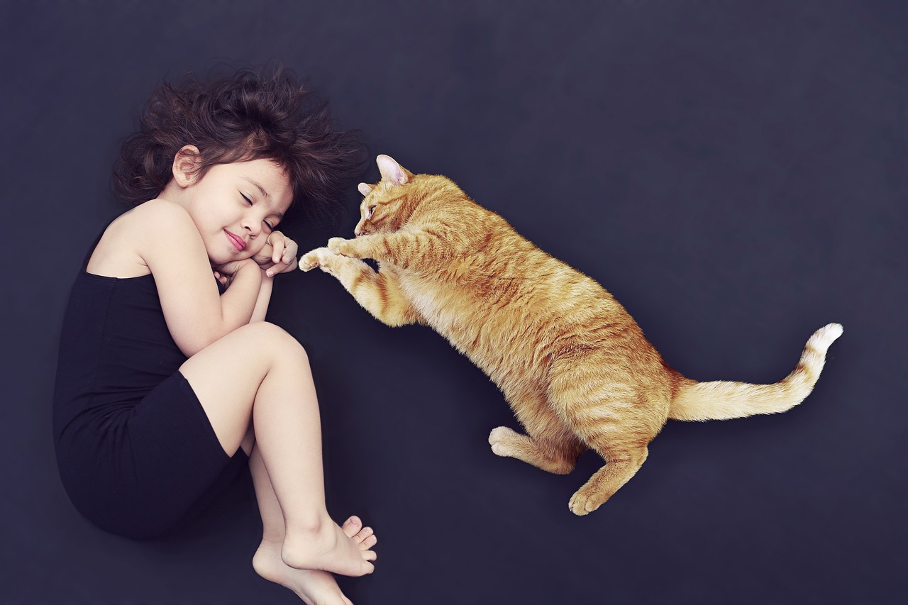 Daily Cat Sitting Visits: San Antonio Pets Care and Comfort