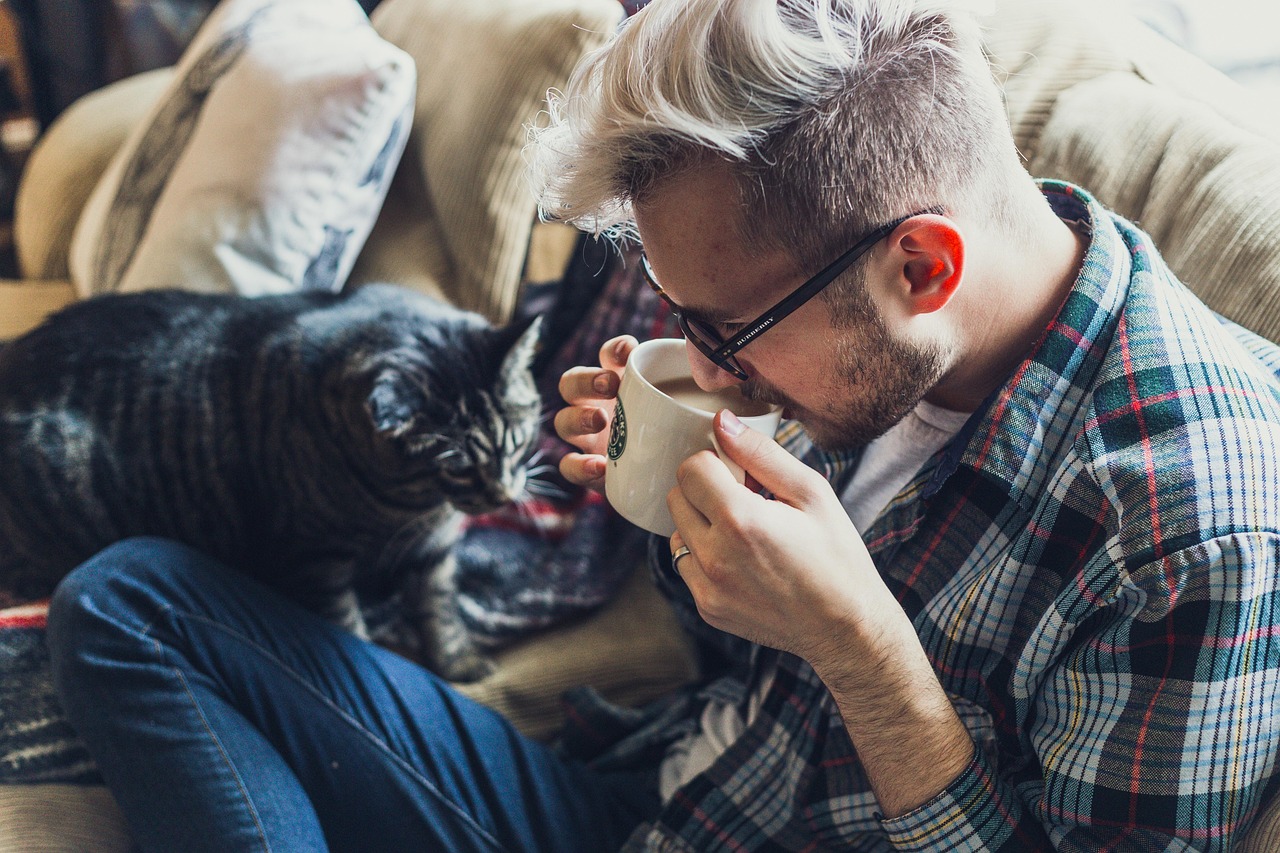 In-Home Pet Sitting: Daily Visits for San Antonio Pets Comfort & Safety