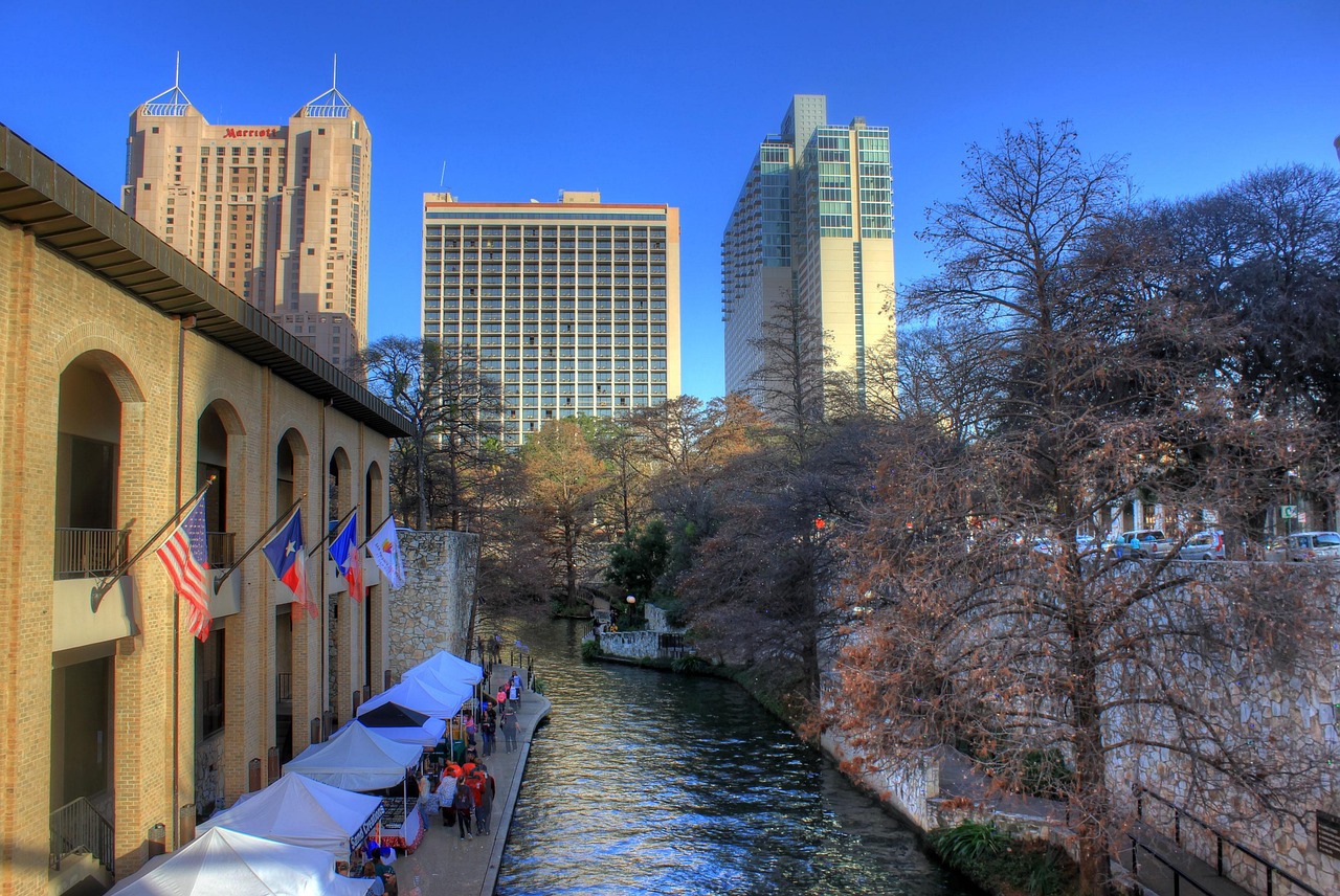 San Antonio Pet Sitter: Daily Visits for Pets Well-being